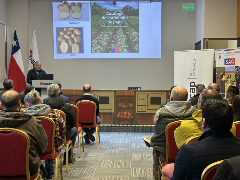 SAG Aysén e INACAP realizaron seminario regional “La Papa: del Campo a la Mesa”