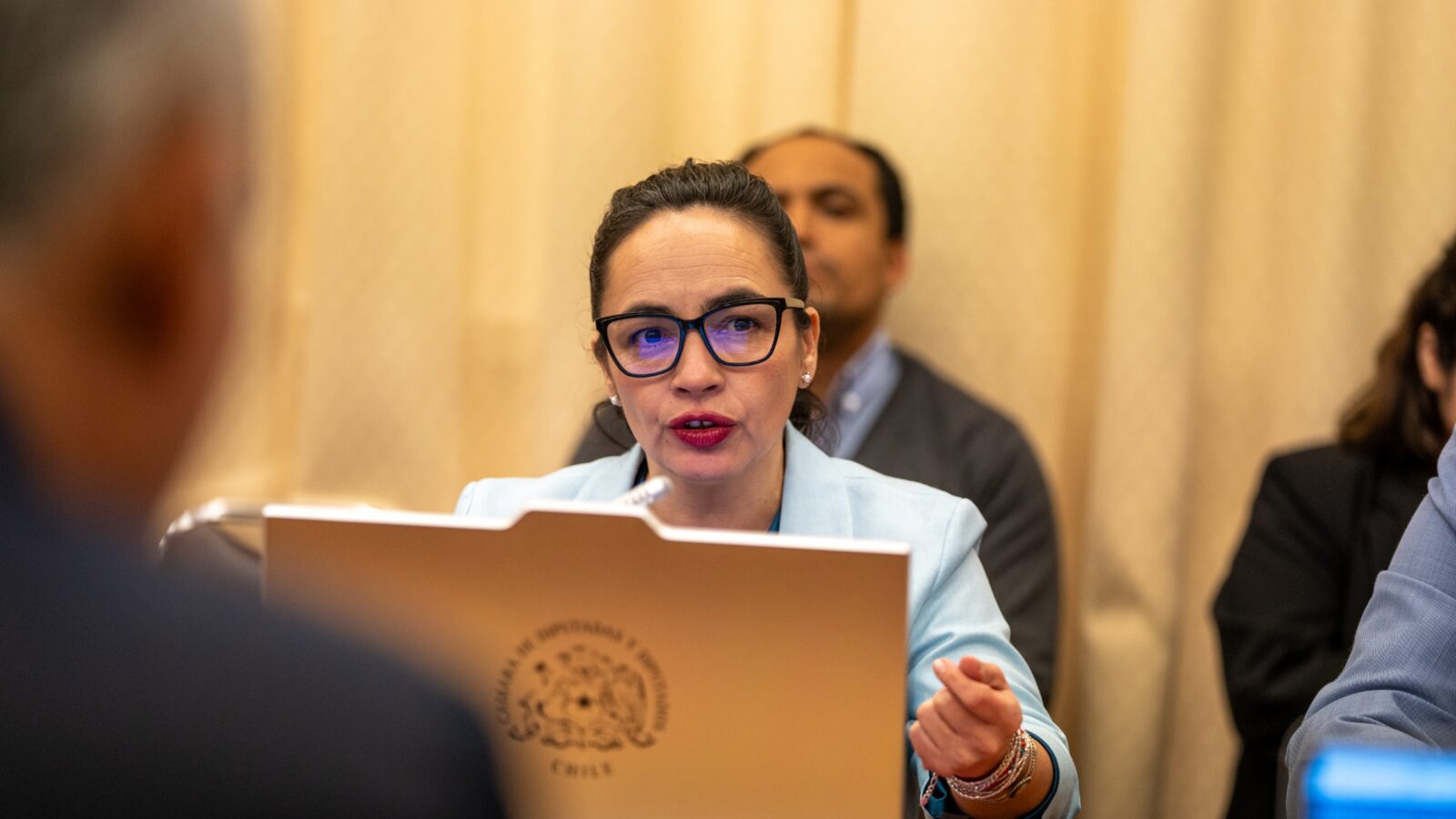 Diputada Macías alerta por recursos para salud y pide al Gobierno anticiparse a eventuales dificultades en Aysén