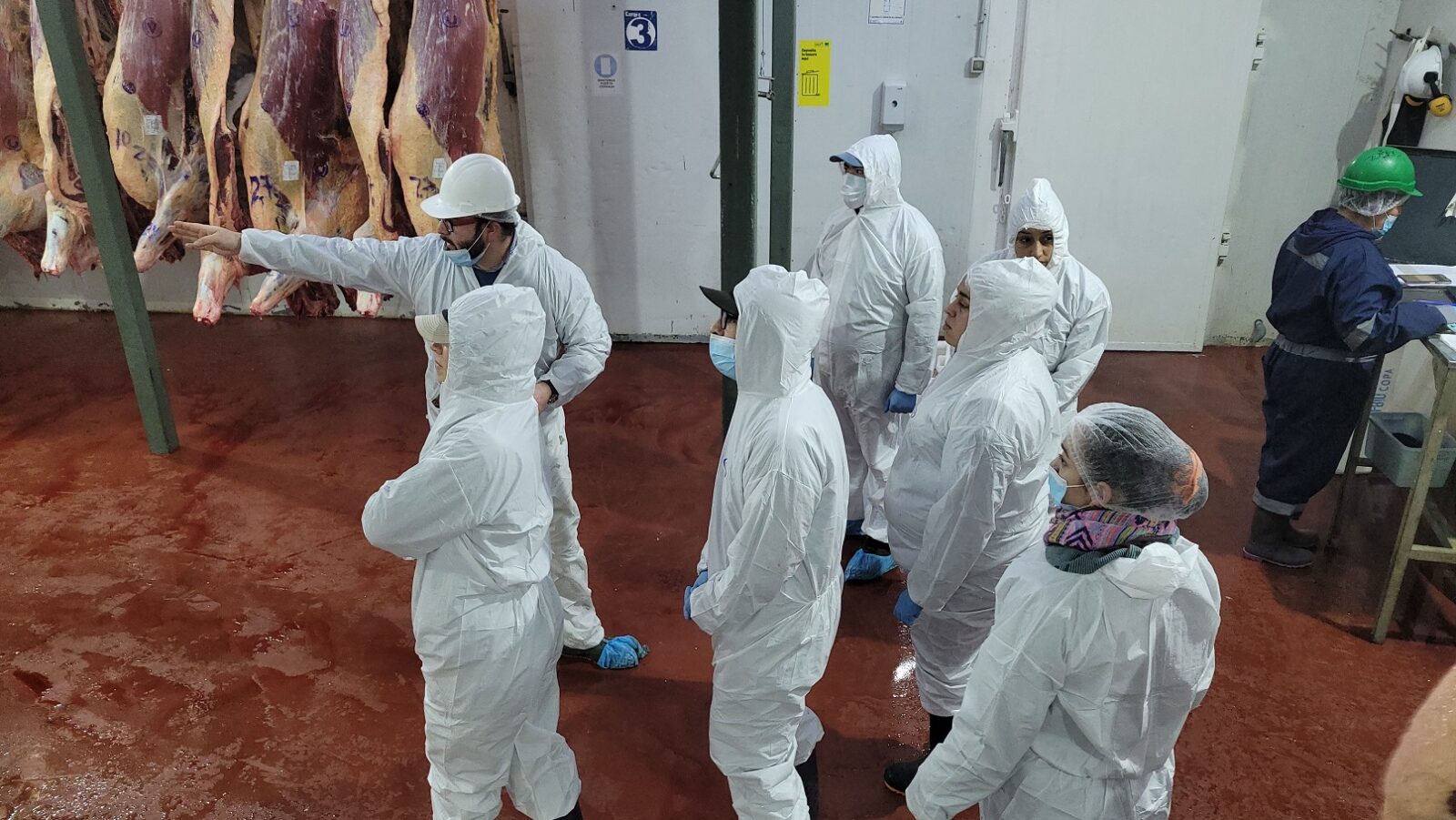 Estudiantes de Ingeniería Agrícola de INACAP realizaron visita a planta faenadora Río Pangal en Aysén