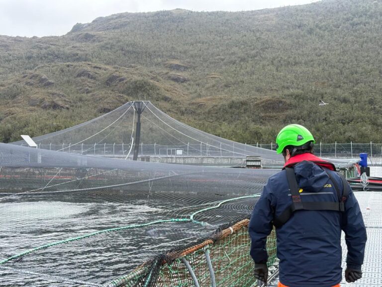 Sernapesca mantiene monitoreo tras detectar caso positivo de virus ISA en centro de cultivo de Aysén