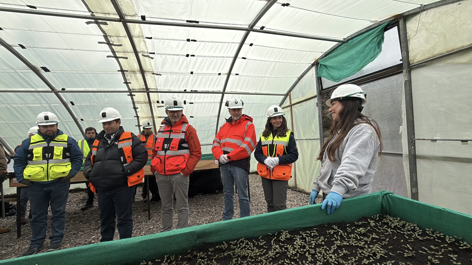 Cerro Bayo proyecta reactivar completamente sus operaciones en Chile Chico durante el último trimestre de 2027 Cerro Bayo proyecta reactivar completamente sus operaciones en Chile Chico durante el último trimestre de 2027