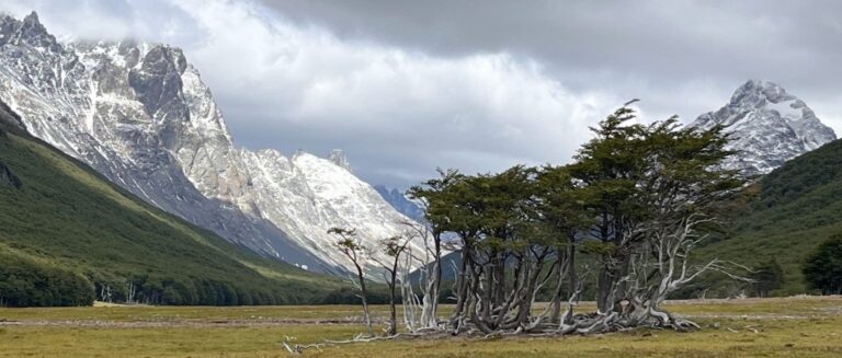 Aviso meteorológico por precipitaciones y nieve afectará sectores cordilleranos de Aysén