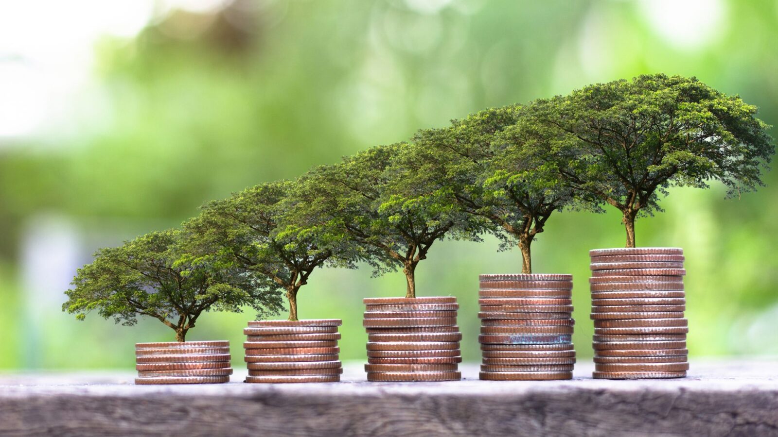 Corfo abre 232 becas para diplomado sobre mercados de carbono: postulaciones cierran el 28 de septiembre