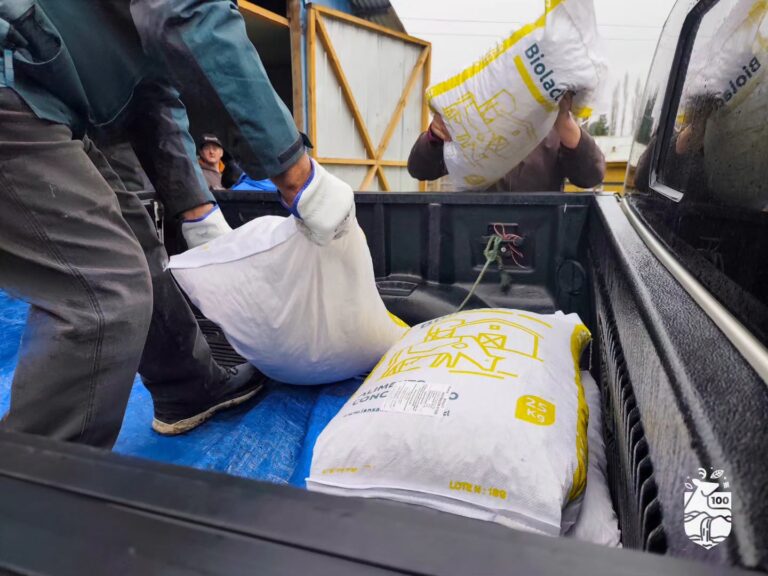 100 familias campesinas de Aysén reciben 25 toneladas de alimento concentrado para ovinos y bovinos