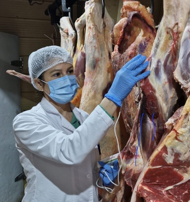 Refuerzan fiscalizaciones a carnicerías y venta de alimentos en Aysén previo a Fiestas Patrias