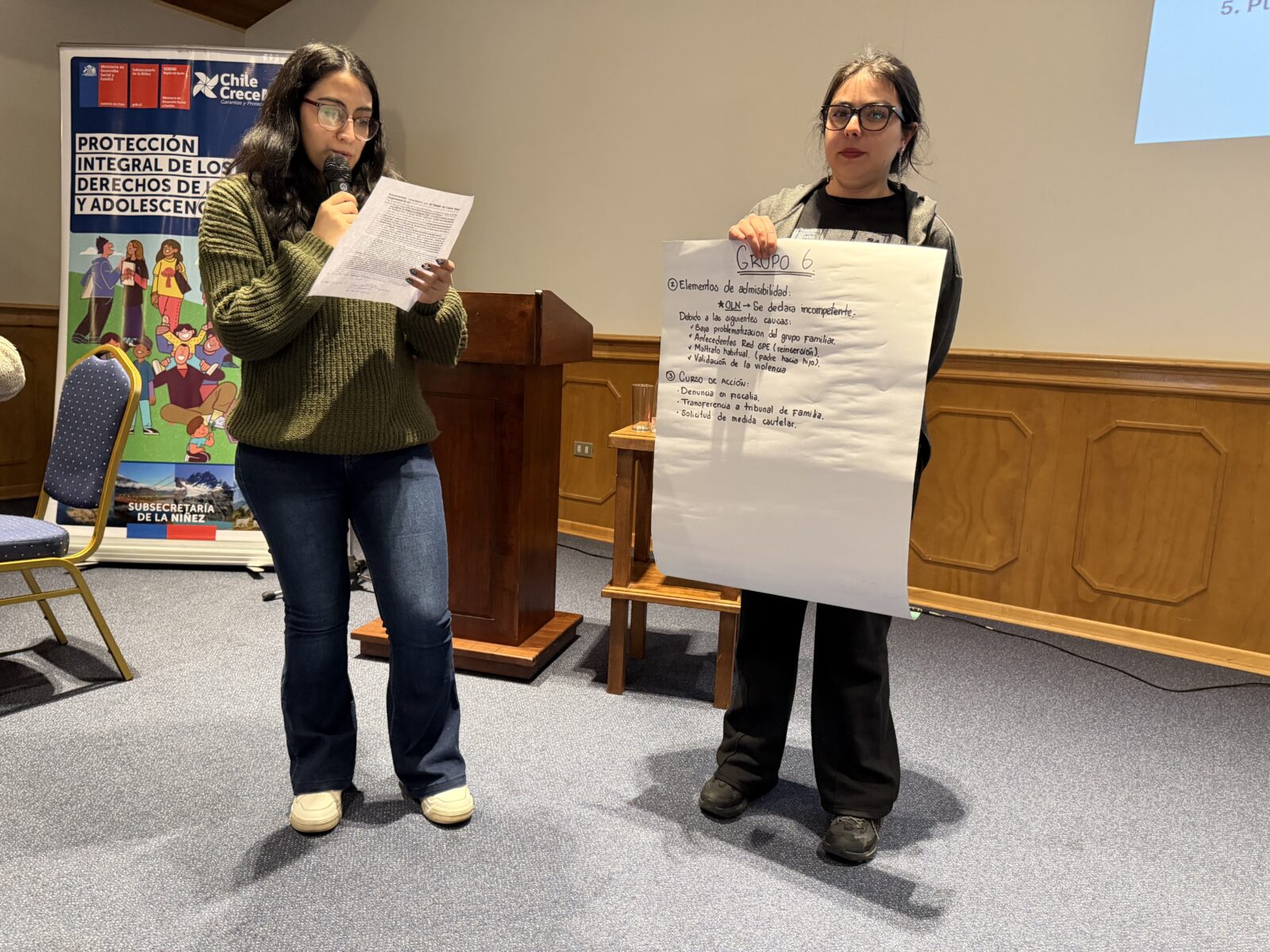 Jornada regional aborda funcionamiento de las Oficinas Locales de la Niñez y protección de derechos en Aysén