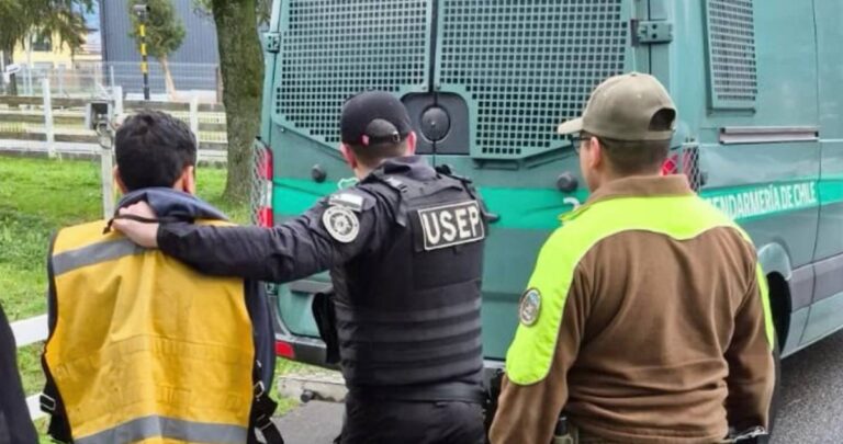 Prisión preventiva para hombre acusado de atacar a su madre con un serrucho en Hualaihué