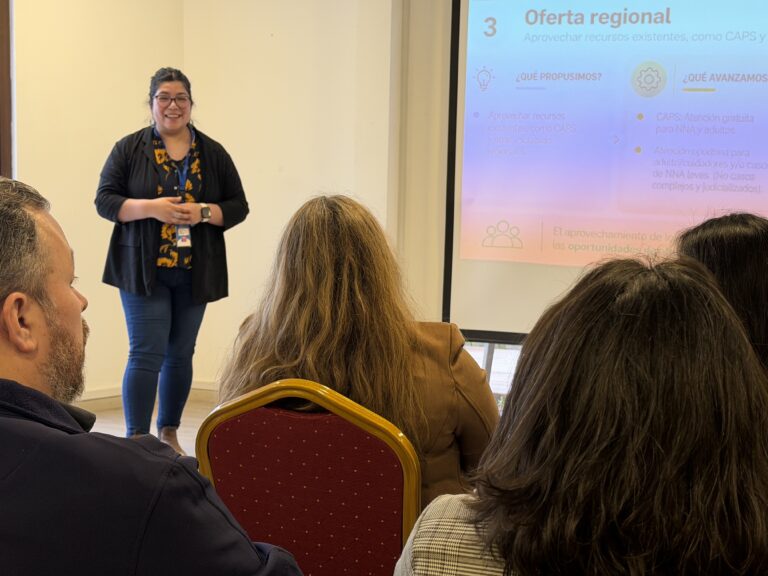 Salud mental infantil y adolescente: Comisión Regional de Aysén acuerda medidas para mejorar acceso y detección temprana