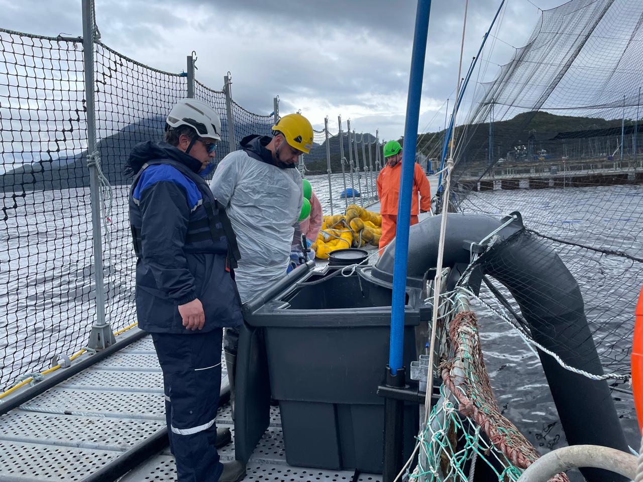 Sernapesca mantiene vigilancia por dos casos de virus ISA en centros salmoneros de Aysén y descarta vínculo conocido entre ambos Sernapesca mantiene vigilancia por dos casos de virus ISA en centros salmoneros de Aysén y descarta vínculo conocido entre ambos
