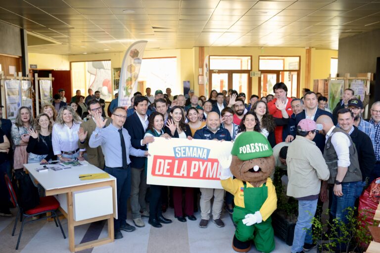 Más de 30 empresas e instituciones participaron en encuentro sobre el aprovechamiento del bosque nativo en Coyhaique