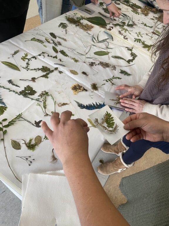 Taller de grabado permitió explorar la flora de Aysén a través del arte y la ciencia