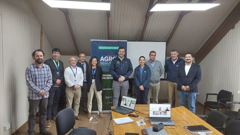 Buscan crear seguro para proteger a ganaderos de Aysén ante una eventual erupción del volcán Hudson
