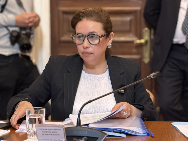 Senadora Ximena Órdenes advierte que proyecto del Juzgado de Puerto Aysén sigue sin fondos hasta 2028