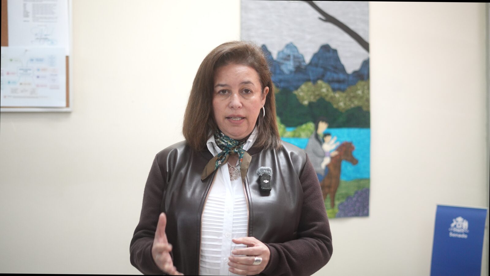 Senadora Órdenes exige investigar atención médica tras fallecimiento de niño de dos años en Villa Cerro Castillo