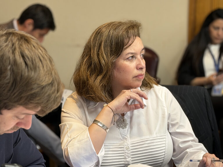Pasajes aéreos desde Balmaceda superan los 0 mil: senadora Órdenes solicita sesión especial para abordar tarifas en Aysén