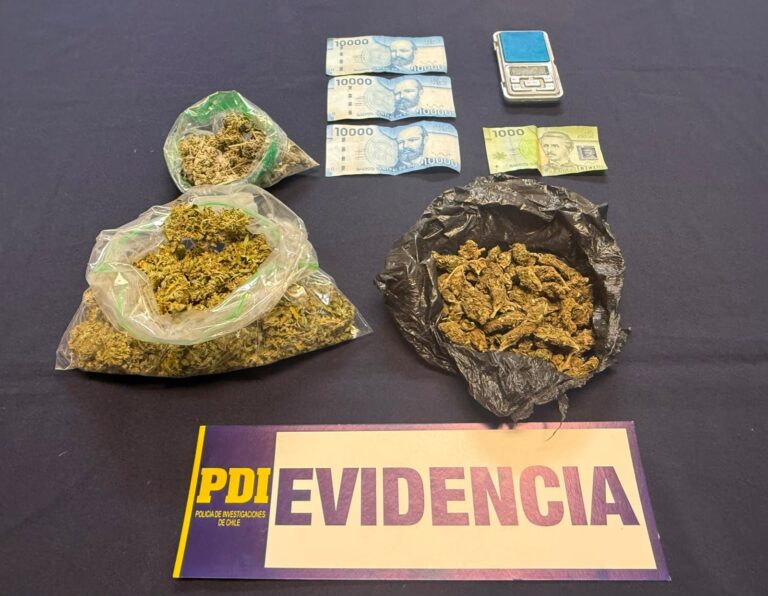 Fiscalización de la PDI en Coyhaique termina con dos detenidos por drogas y dos extranjeros denunciados Fiscalización de la PDI en Coyhaique termina con dos detenidos por drogas y dos extranjeros denunciados