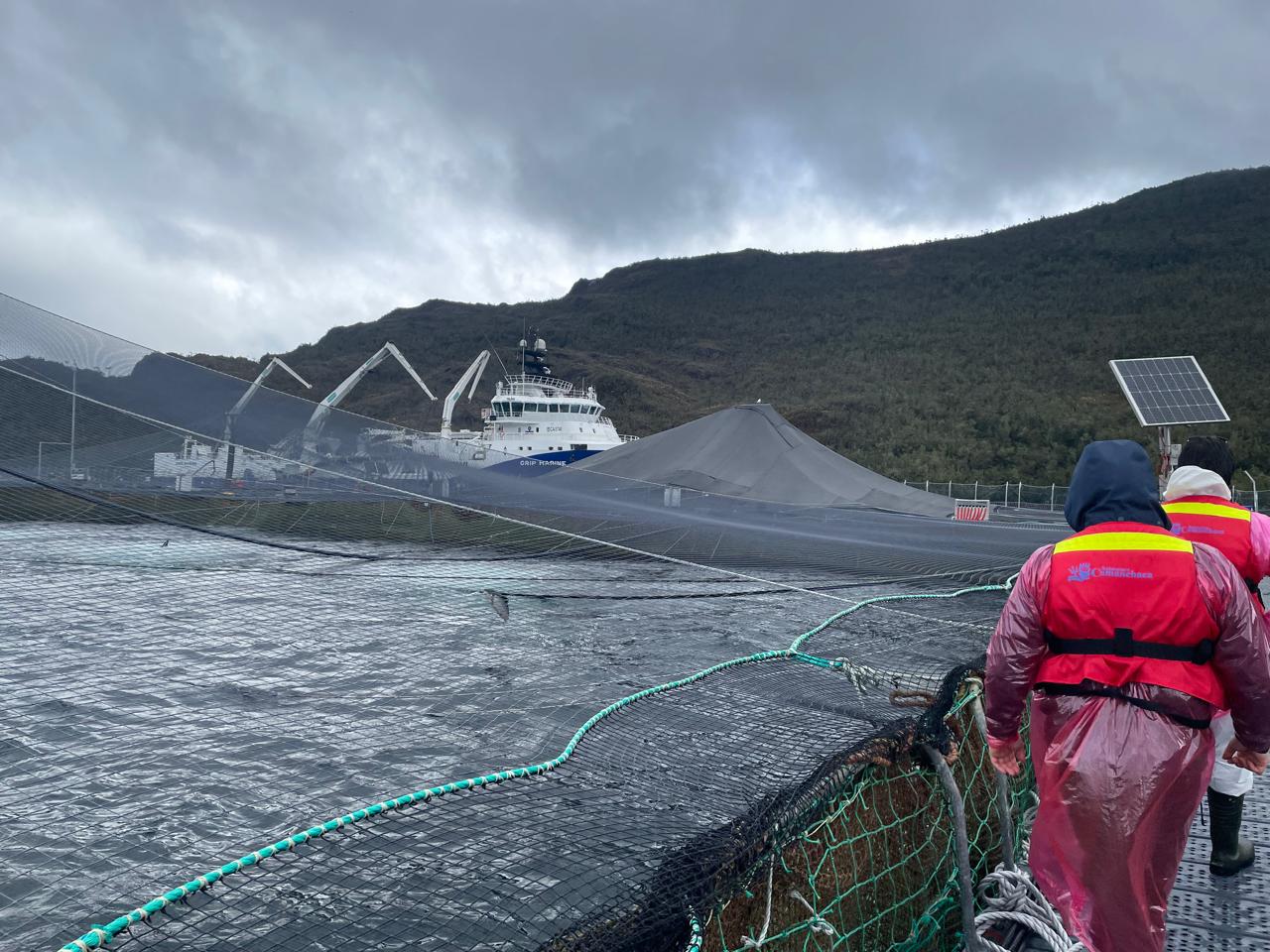 Sernapesca identifica variante HPR5a del virus ISA y mantiene vigilancia sanitaria en centros de cultivo de Aysén
