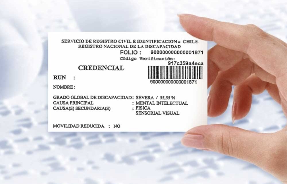 Buscan reducir espera de nueve meses para obtener credencial de discapacidad: contactarán a personas con trámites pendientes en Aysén