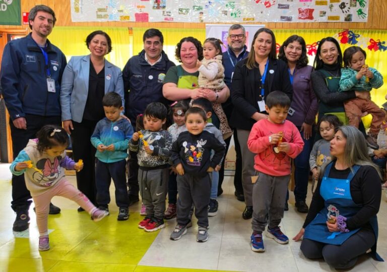 Puerto Ibáñez recibió operativo jurídico y social con atención de la CAJ y Registro Civil